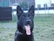 Abbe z Beadentu‏
