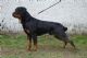 BRIX  z Knezskych luk